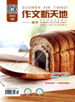 作文新天地·高中版期刊